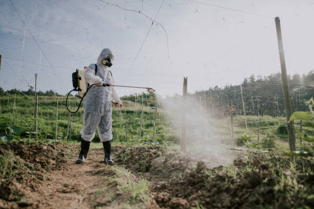 Best Commercial Pest Control Services  in Cottonwood, ID