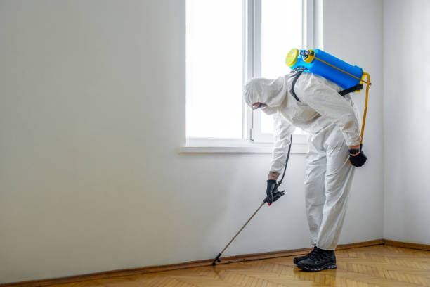 Pest Control Cost in Cottonwood, ID