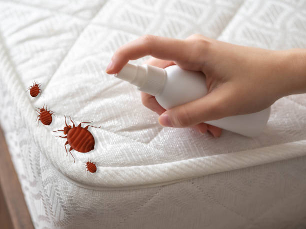 Best Pest Prevention Services  in Cottonwood, ID