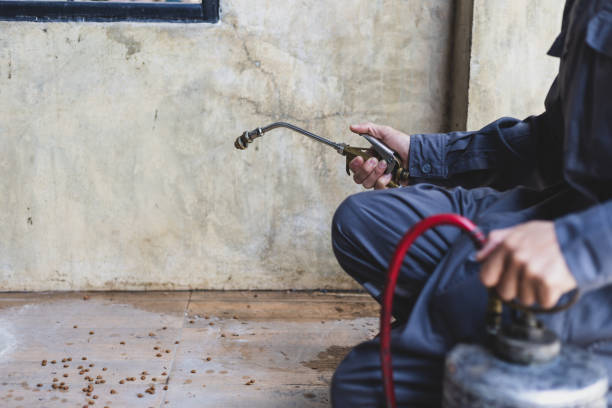 Best Residential Pest Control  in Cottonwood, ID