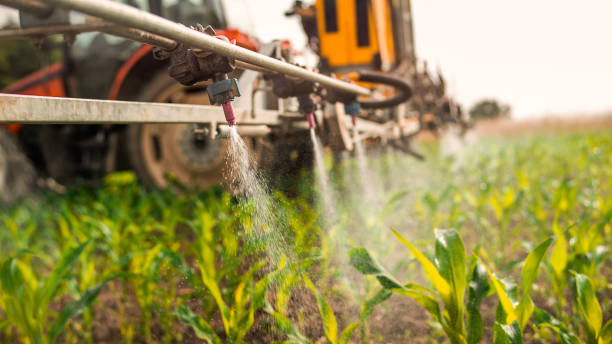 Best Mosquito Control Services  in Cottonwood, ID